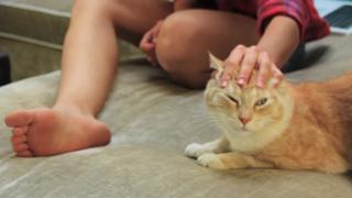Taryn Southern feet photo thumbnail