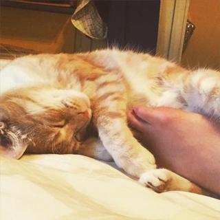 Taryn Southern feet photo thumbnail