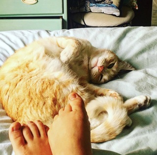 Taryn Southern feet photo thumbnail