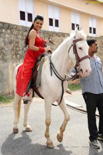 Tashu Kaushik feet photo 7