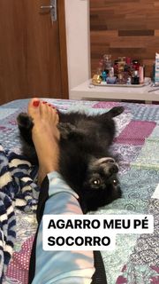 Tati Zaqui feet photo thumbnail