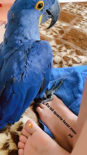 Tati Zaqui feet photo thumbnail