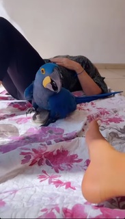 Tati Zaqui feet photo thumbnail