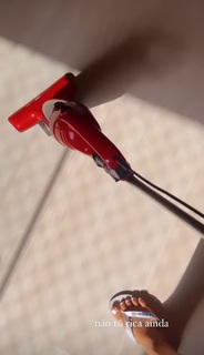 Tati Zaqui feet photo thumbnail