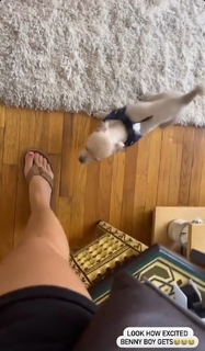 Tatiana Zappardino feet photo 18