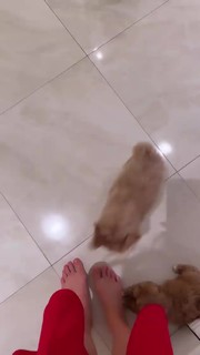 Tatyana Kotova feet photo 14