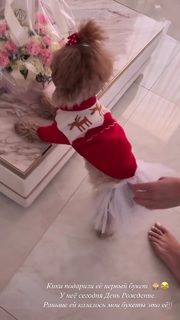 Tatyana Kotova feet photo 17
