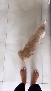 Tatyana Kotova feet photo 14