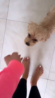 Tatyana Kotova feet photo 13