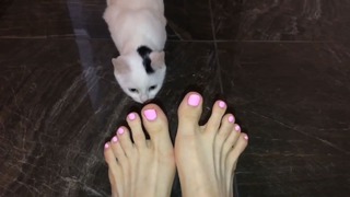 Tatyana Tkachuk feet photo 16