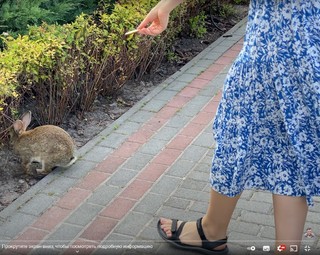 Tatyana Tkachuk feet photo 3