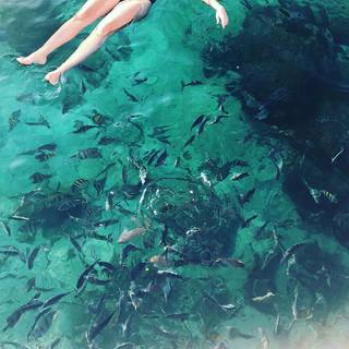 Tatá Werneck feet photo thumbnail