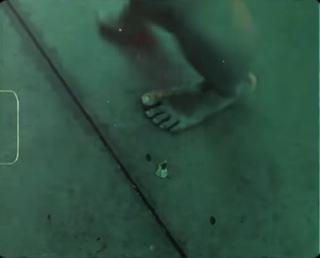 Tatá Werneck feet photo thumbnail