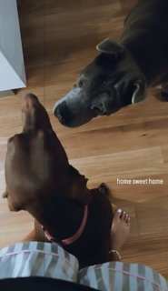 Taya Brooks feet photo 17