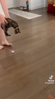 Taya Miller feet photo 8
