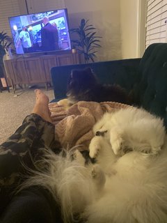 Taya Valkyrie feet photo 14