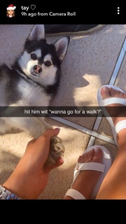 Taylor Alesia feet photo thumbnail