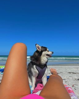Taylor Alesia feet photo thumbnail