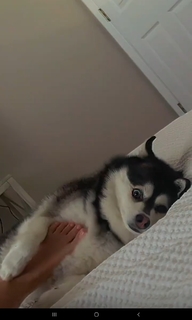 Taylor Alesia feet photo thumbnail