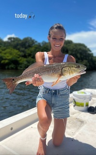 Taylor Alesia feet photo thumbnail