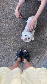Taylor Hickson feet photo 1