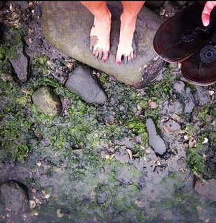 Taylor Lorenz feet photo 9