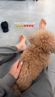 Taylor Malkov feet photo 13