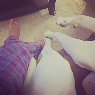 Taylor Wright feet photo 7