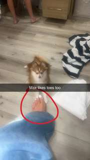 Teala Dunn feet photo thumbnail