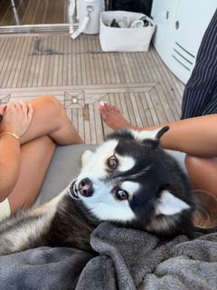 Teala Dunn feet photo thumbnail