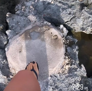 Tenille Dashwood feet photo thumbnail