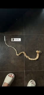 Teodora Dzehverovic feet photo thumbnail