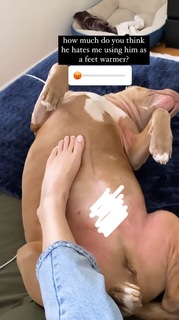 Teren Mabry feet photo 7