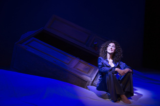 Teresa Mannino feet photo 10
