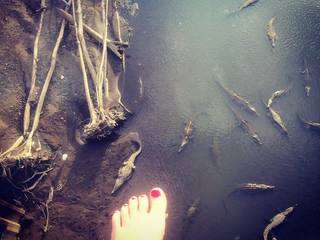 Tereza Ramba feet photo 8