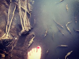 Tereza Ramba feet photo 16