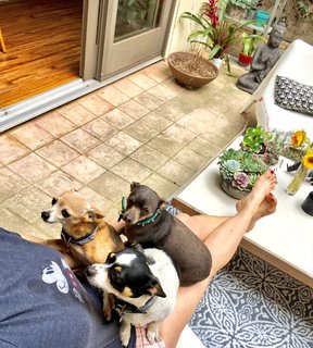 Teri Polo feet photo thumbnail
