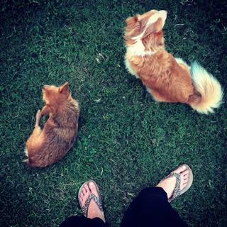 Teri Wyble feet photo 5