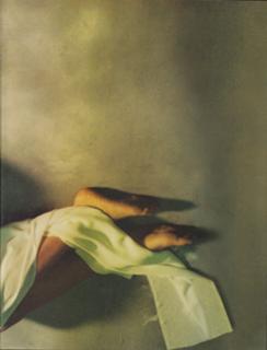 Terri Poch feet photo 15