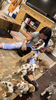 Tessa Blanchard feet photo thumbnail