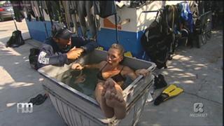 Tessa Gelisio feet photo 6