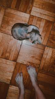 Tessa Ia feet photo 17