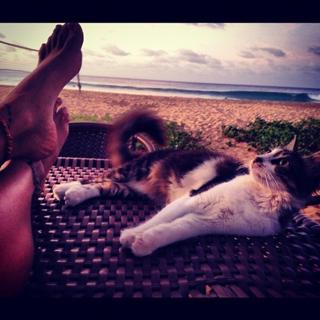 Thaila Ayala feet photo thumbnail