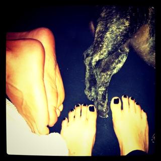 Thaila Ayala feet photo thumbnail