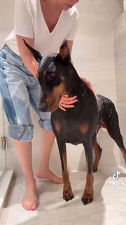 Thalía feet photo thumbnail