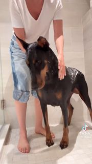 Thalía feet photo thumbnail