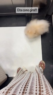 Thaynara OG feet photo 6