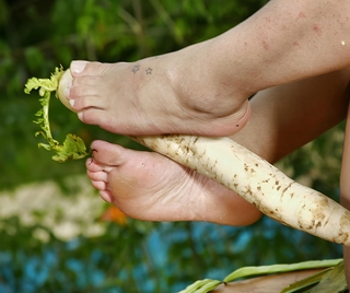 Thays Schiavinato feet photo 6