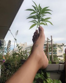 Thays Schiavinato feet photo 4