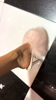 Thaís Bianca feet photo thumbnail